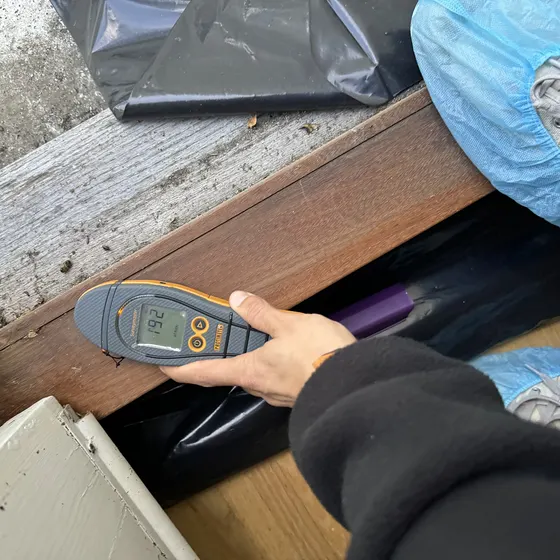 Moisture reading under a removed floor, Central LA