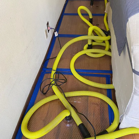 Floor drying hoses on hardwood, Central LA