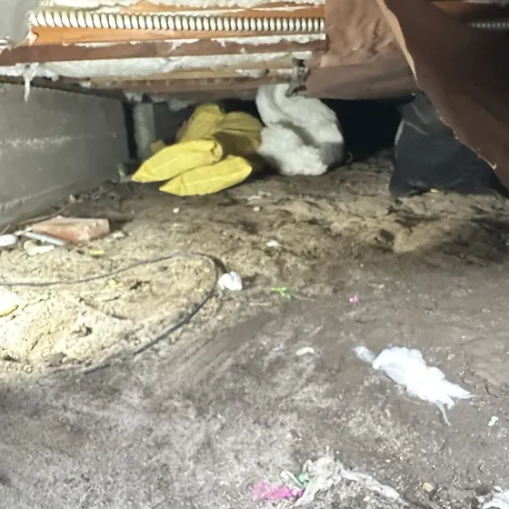 Wet insulation in a crawl space, Branch not recorded