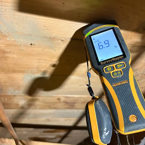 Moisture reading on a floor joist, Branch not recorded