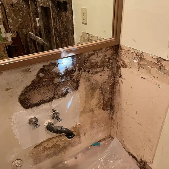 Bathroom wall opened for mold removal, Central LA