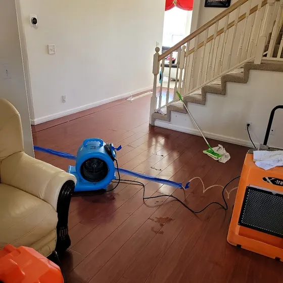 Air movers on a wet hardwood floor, Branch not recorded