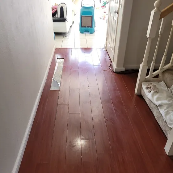 Dehumidifier in a hallway, Branch not recorded