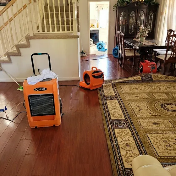 Air scrubber and dehumidifier drying a living room, Branch not recorded