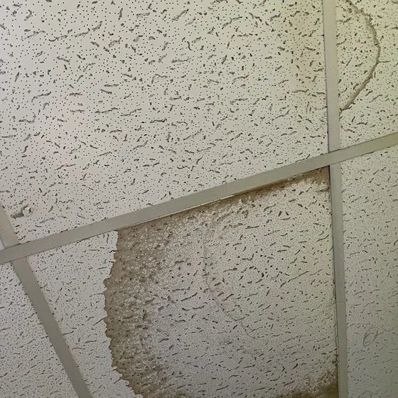 Water-stained ceiling tile after a leak, San Fernando Valley