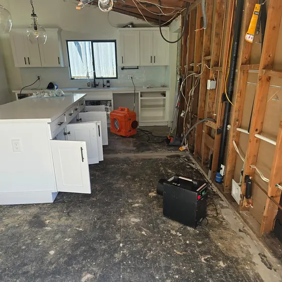 Kitchen after fire demolition, Branch not recorded