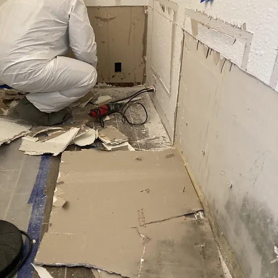 Removing moldy drywall in protective gear, Greater Seattle