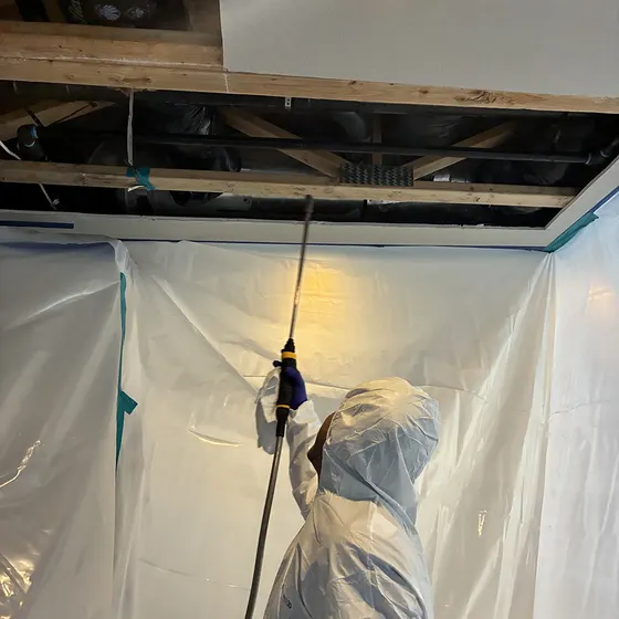 Ceiling removal inside containment, Greater Seattle