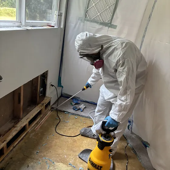 Applying antimicrobial to a subfloor, Greater Seattle