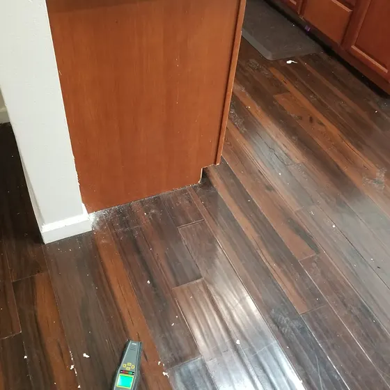 Moisture meter on wet laminate, San Gabriel Valley