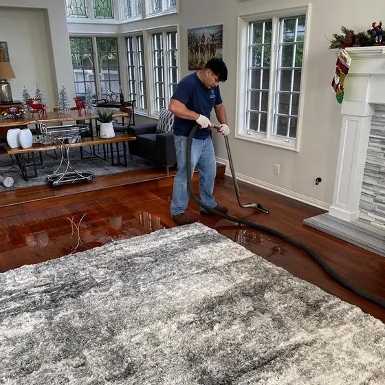 Extracting water from a hardwood floor