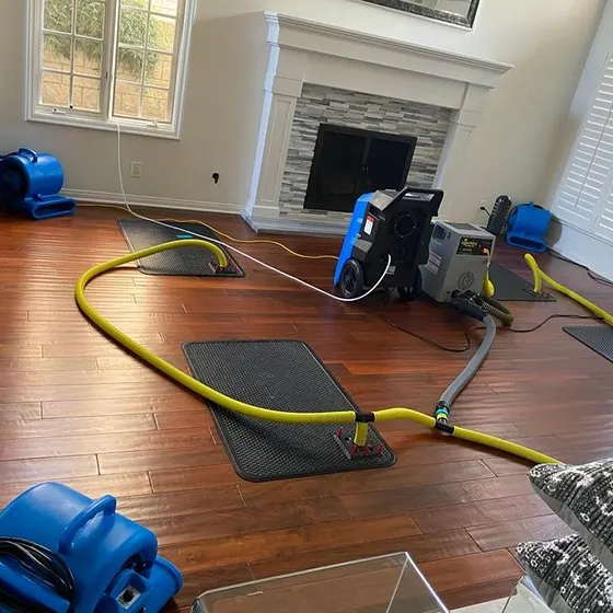 Drying setup in a living room, South Bay