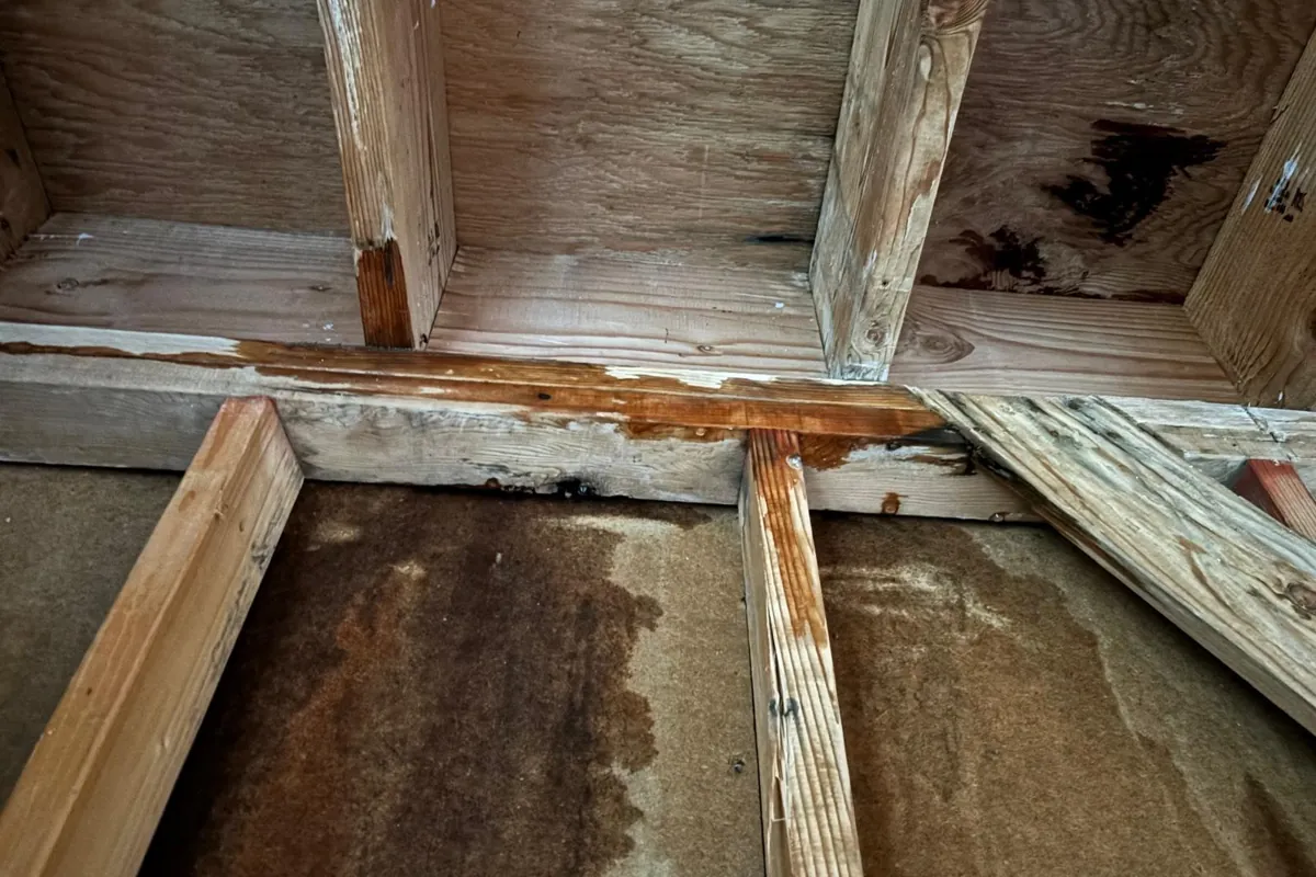 Wood rot