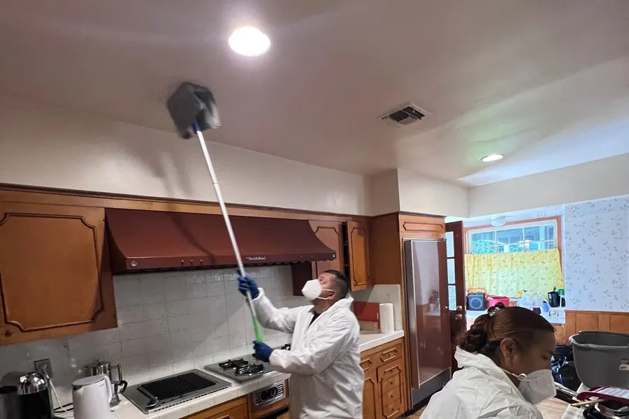 Free inspection
