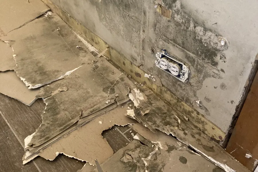 Bathroom wall mold behind tile