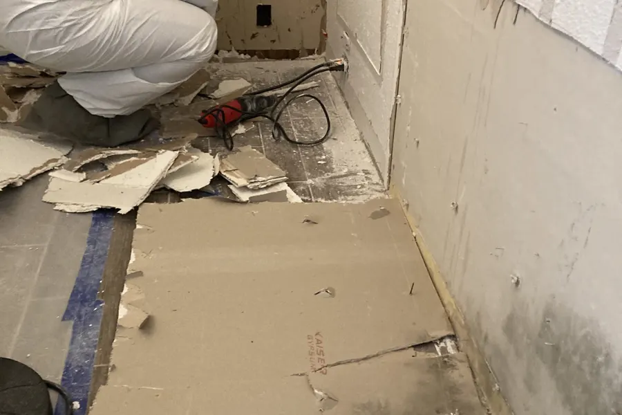 Hallway mold after a water loss