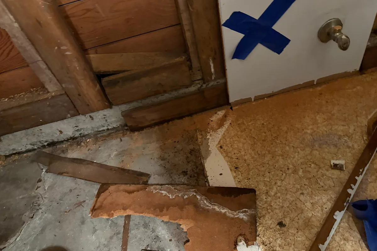No carpet in damp areas