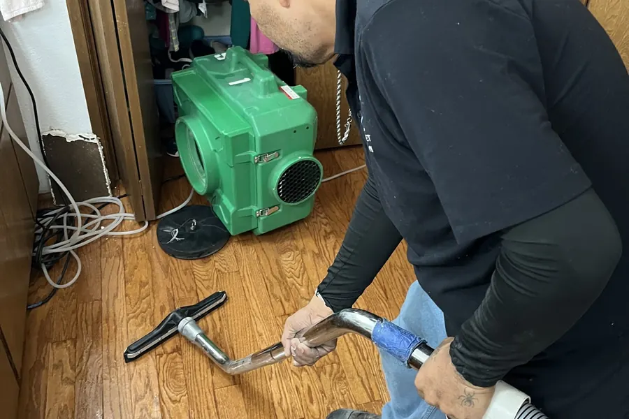 Keep carpet & upholstery clean