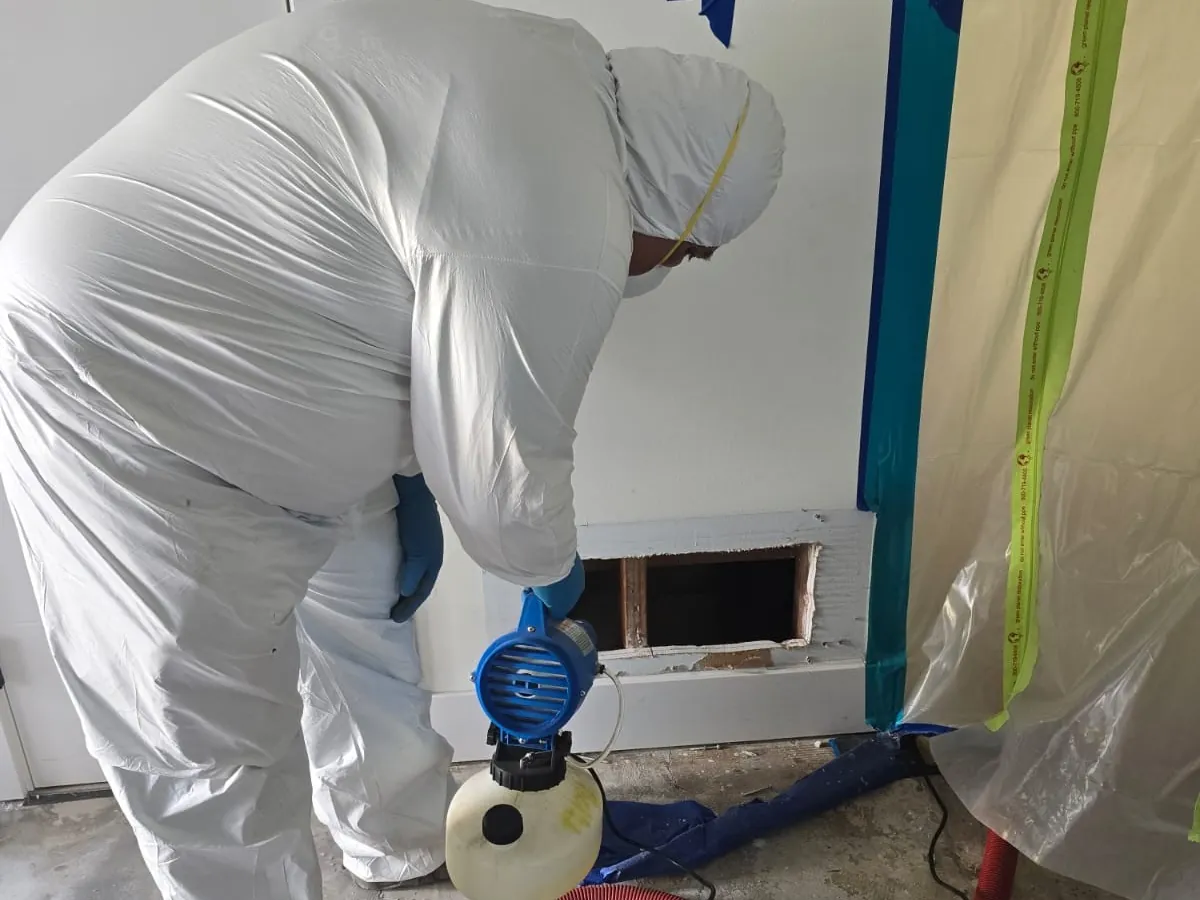 Technicians in protective suits during sewage cleanup