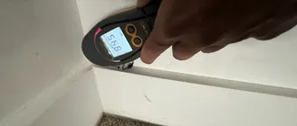 What Causes Mold to Grow