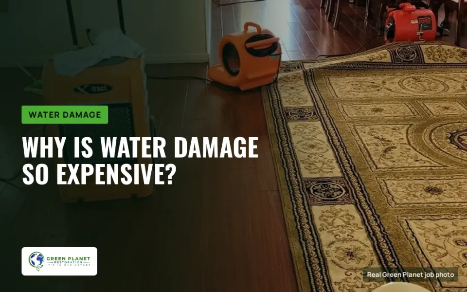 Water Damage Restoration Costs: Why Is Water Damage So Expensive?