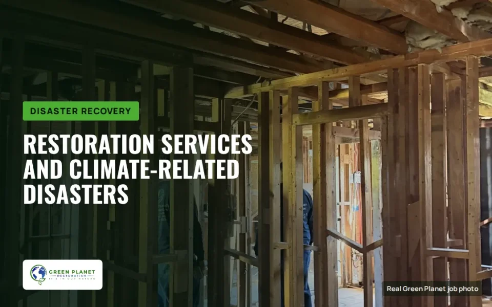 The Role of Restoration Services in Mitigating Climate-Related Disasters