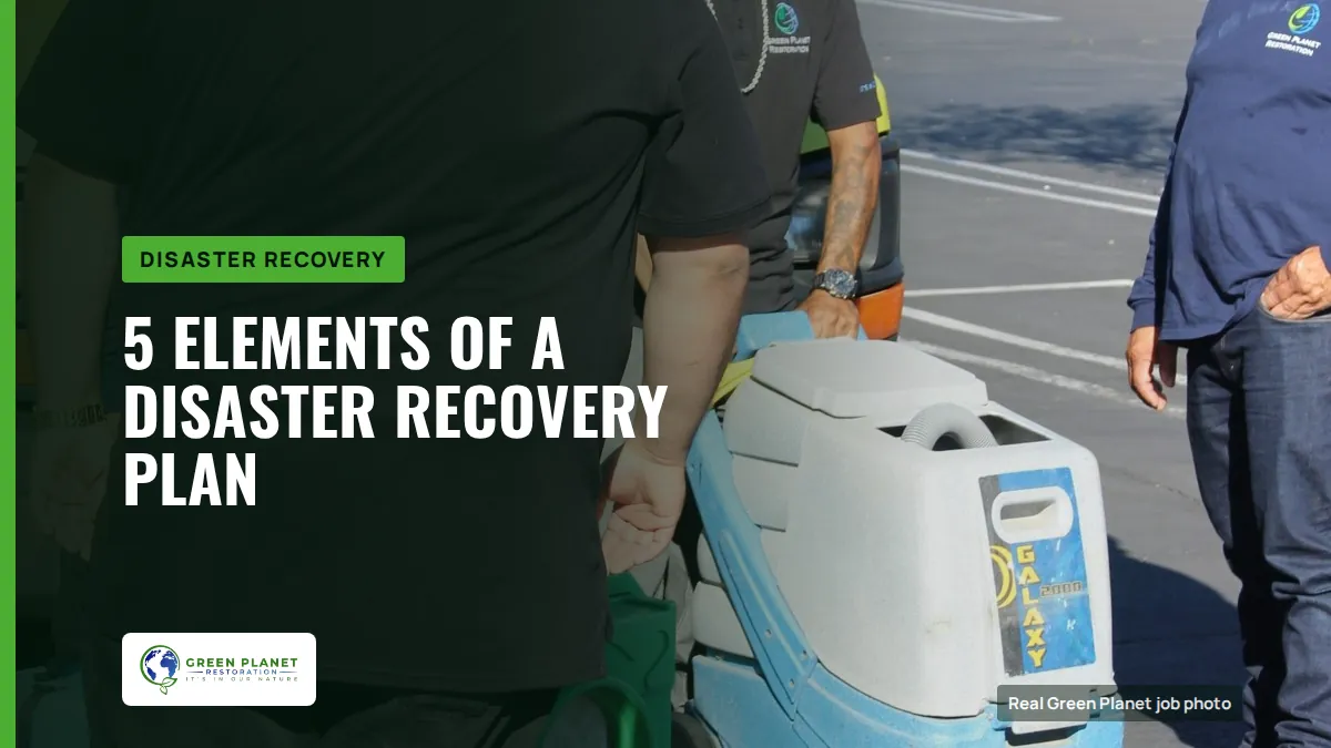 5 Elements of a Disaster Recovery Plan | Green Planet Restoration