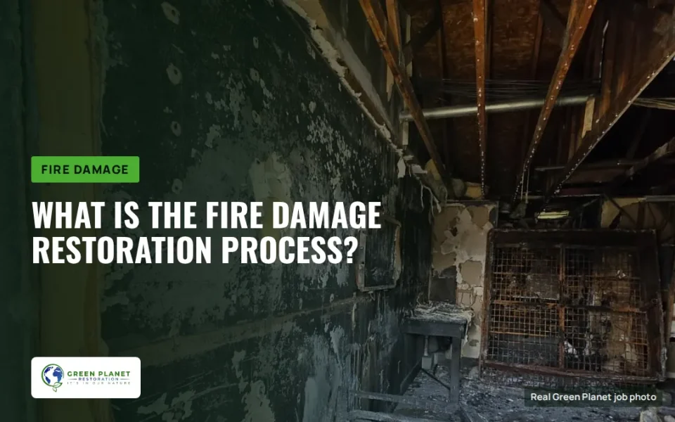 What Is the Fire Damage Restoration Process?