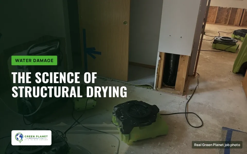 The Science Behind Effective Structural Drying