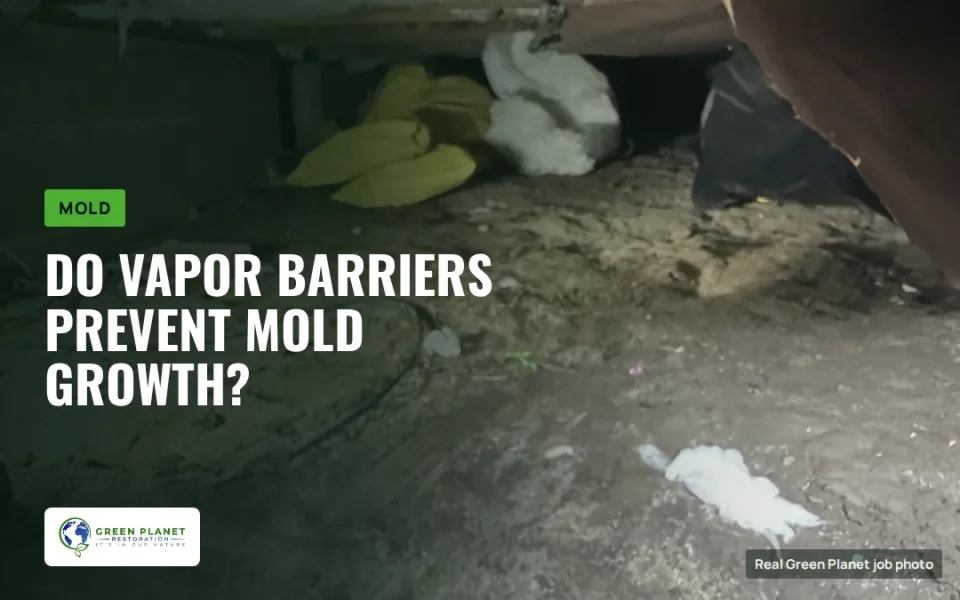 Vapor Barriers Explained: Do Vapor Barriers Prevent Mold Growth?