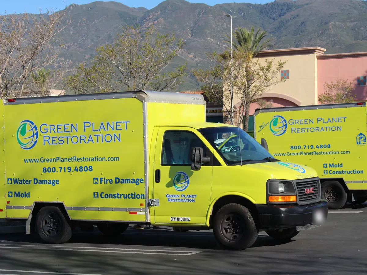 Mold Remediation Cost and Pricing